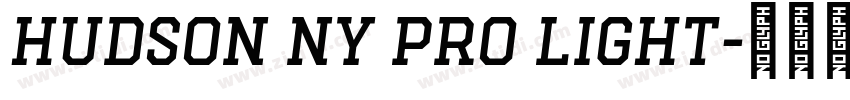 Hudson NY Pro Light字体转换